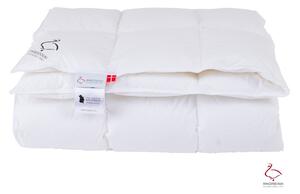 Celoroční přikrývka s péřovou výplní 200x140 cm Snow Queen – Ringsted Dun