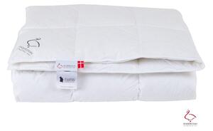 Celoroční přikrývka s péřovou výplní 200x140 cm The Ugly Duckling – Ringsted Dun