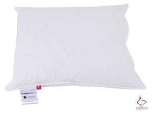 Polštář s péřovou výplní 50x60 cm Jack the Dullard – Ringsted Dun