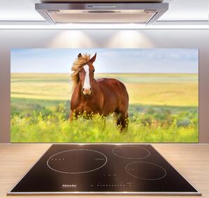 Dekorační panel sklo Hnědý kůň pl-pksh-120x60-f-111439137