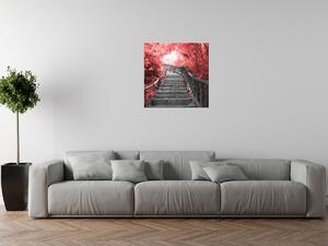 Obraz na plátně Schody v červeném lese Rozměry: 40 x 60 cm