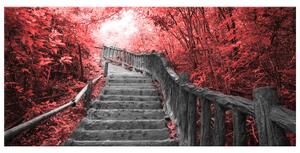 Obraz na plátně Schody v červeném lese Rozměry: 40 x 60 cm
