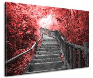 Obraz na plátně Schody v červeném lese Rozměry: 90 x 60 cm