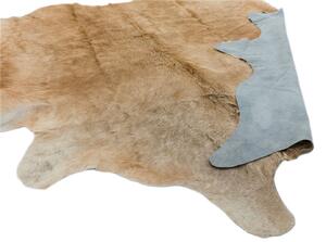 Béžový koberec Banshee Solid Beige Rozměry: 180x240 cm