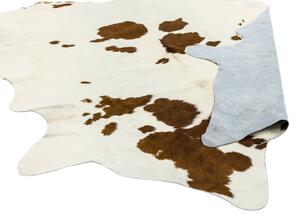 Hnědý koberec Banshee Brown Rozměry: 180x240 cm