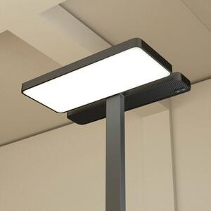Kancelářská stojací lampa Arcchio Aila LED, černá, senzor denního světla