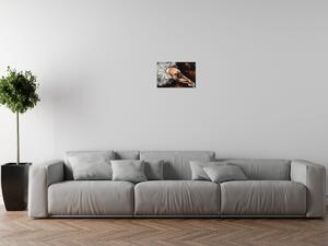 Gario Obraz na plátně Rozcvička baletky Velikost: 30 x 30 cm