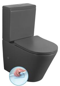 Sapho Sapho, DARIO RIMLESS WC kombi mísa s nádržkou, spodní/zadní odpad, bílá, PC1012WRGR