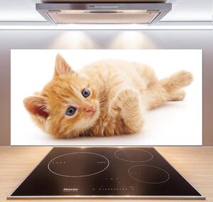 Skleněný panel do kuchynské linky Červená kočka pl-pksh-120x60-f-126034635