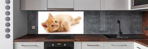 Skleněný panel do kuchynské linky Červená kočka pl-pksh-140x70-f-126034635
