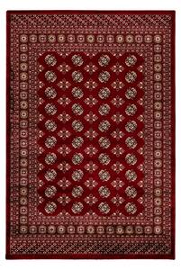 Obsession koberce Kusový koberec My Ariana 880 red - 200x290 cm