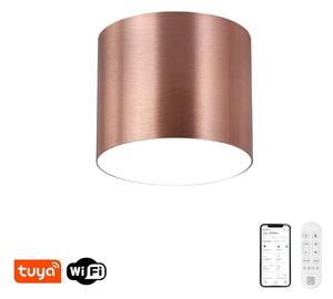 Immax NEO 07319L - LED Stm stropní sv RONDATE 18W/230V 11,5 cm Wi-Fi Tuya rose