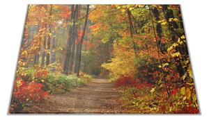 Skleněné prkénko podzimní les s pěšinou - 30x20cm