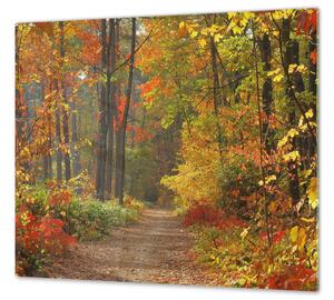Ochranná deska podzimní les s pěšinou - 52x60cm / S lepením na zeď