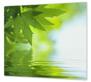 Ochranná deska listy nad hladinou vody - 40x40cm / S lepením na zeď