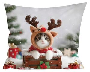3D povlak na polštář z mikrovlákna RUDOLPH KITTEN 45x45 cm, barevný