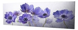 Wallity Obraz na plátně Violet beauty PC028 30x80 cm