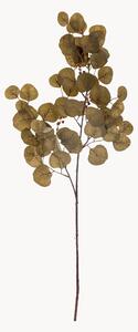 Sada umělých květin Eucalyptus, 3 díly