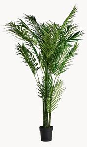 Umělá rostlina Palmera