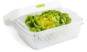 Rotho Speciální box na ovoce a zeleninu, s ventilací a filtrem, do lednice, Fridge Fresh, 6,4l