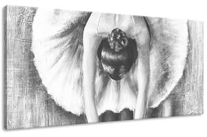 Gario Obraz na plátně Šedá rozcvička baletky Velikost: 30 x 20 cm