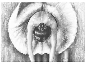 Gario Obraz na plátně Šedá rozcvička baletky Velikost: 30 x 20 cm