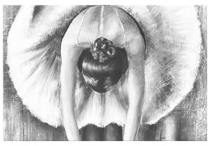 Gario Obraz na plátně Šedá rozcvička baletky Velikost: 30 x 30 cm