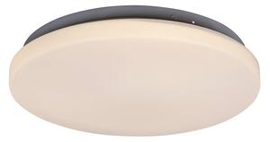 Rabalux LED stropní svítidlo Rob 1x20W | 1400lm | 3000K - průměr 29cm