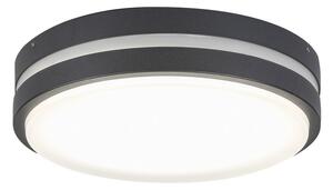 Rabalux LED svítidlo Hamburg 1x12W | 900lm | 4000K | IP44 - antracitová, 8848