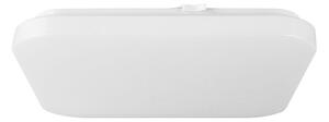 PLAFON LED stropní svítidlo, 900 lm, 10 W