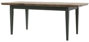 Jídelní stůl Elvina Typ 92 (tmavě zelená + dub lefkas) (pro 8 a více osob). 1022386