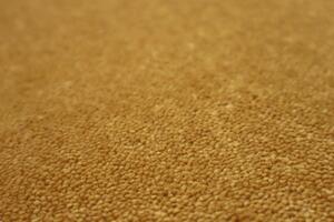 Lano - koberce a trávy Neušpinitelný kusový koberec Nano Smart 371 žlutý - 80x150 cm