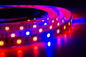ECOLIGHT LED pásek - SMD 5050 - 5m - 60LED/m - 14,4W/m - IP20 - červená+modrá