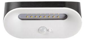 Rabalux BREZNO LED solární lampa 77006