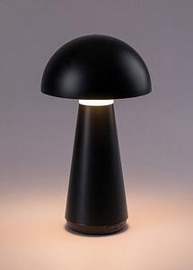 Rabalux ISHTAR LED Venkovní stmívatelná dotyková nabíjecí stolní lampa LED/3W/5V 2000mAh IP44