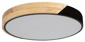 Rabalux MAPLE LED stropní svítidlo 3528