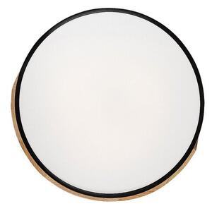 Rabalux MAPLE LED stropní svítidlo 3528
