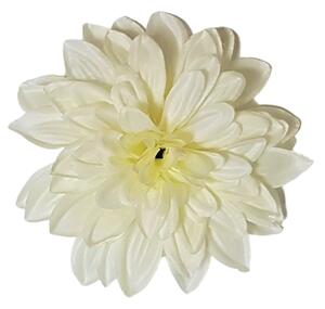 Dahlia 