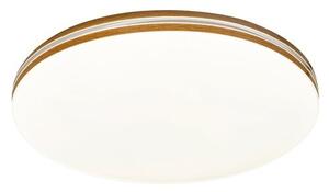 Rabalux OSCAR2 LED stropní svítidlo 71173