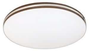 Rabalux OSCAR2 LED stropní svítidlo 71173