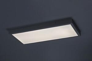 Rabalux DAMEK2 LED stropní svítidlo 71077