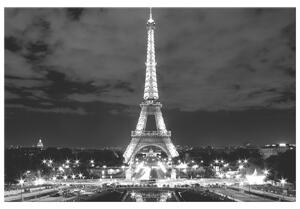 Gario Obraz na plátně Eiffelova věž černo-bílá Velikost: 90 x 60 cm