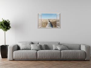 Obrazy na plátně Okno dokořán Béžové pole Rozměry: 90 x 60 cm