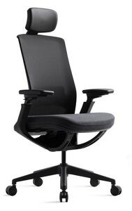 Kancelářská ergonomická židle ROLY — síť, látka, černá / více barev Antracit