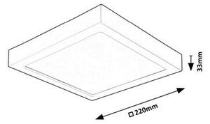 Rabalux SHAUN2 LED stropní svítidlo 71203
