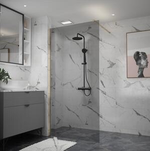 Erga Paris, sprchová zástěna Walk-In 60x200 cm, 8mm šedé sklo, zlatý lesklý profil, ERG-V02-PARIS-060x200-GR-GD