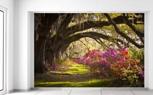Fototapeta Silné duby a květiny Materiál: Samolepící, Velikost: 200 x 135 cm