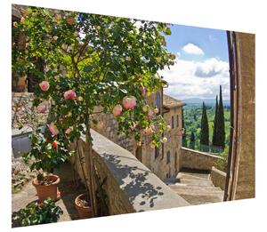 Gario Fototapeta Růže na balkoně Materiál: Latexová, Velikost: 200 x 150 cm