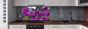 Panel do kuchyně Květ česneku pl-pksh-140x70-f-99930087