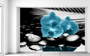 Fototapeta Tyrkysová orchidej a kameny Materiál: Samolepící, Velikost: 200 x 135 cm